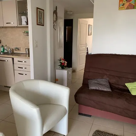 Appartement 3p, Grd Terrasse, Jardin, Centre-ville, 150m De La *