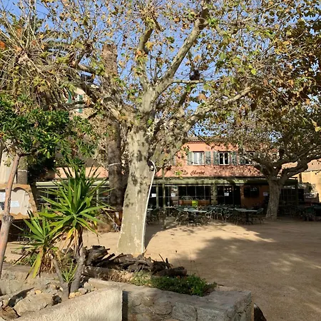 3p, Grd Terrasse, Jardin, Centre-ville, 150m De La Appartement *