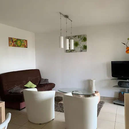 3p, Grd Terrasse, Jardin, Centre-ville, 150m De La