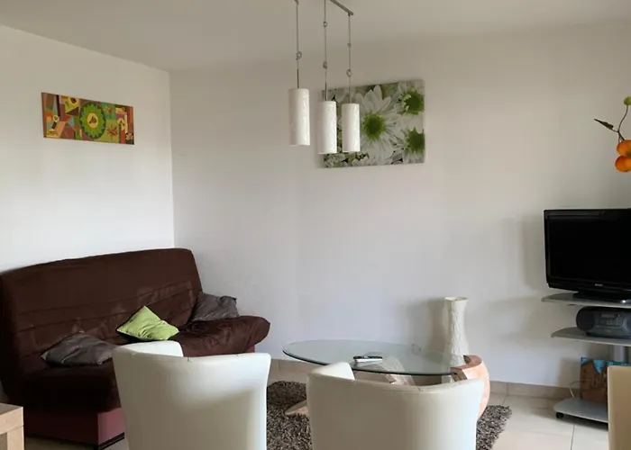 3p, Grd Terrasse, Jardin, Centre-ville, 150m De La