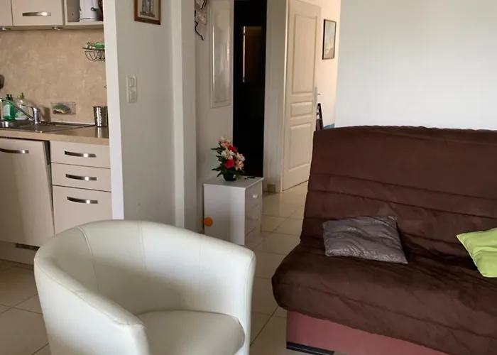 Appartement 3p, Grd Terrasse, Jardin, Centre-ville, 150m De La *