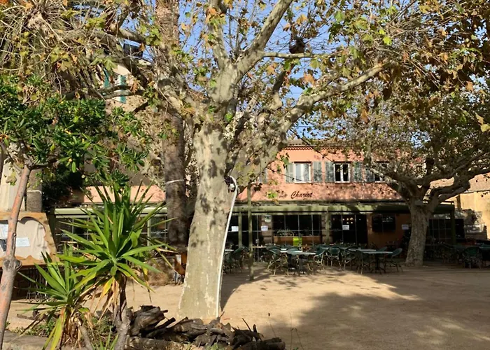 3p, Grd Terrasse, Jardin, Centre-ville, 150m De La Appartement *